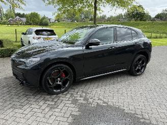  Alfa Romeo Stelvio 2.2 MJD ATX Competizione 2023/4
