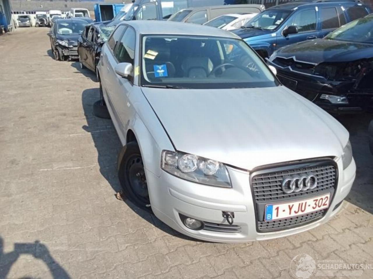 Audi A3 A3 (8P1), Hatchback 3-drs, 2003 / 2012 1.9 TDI