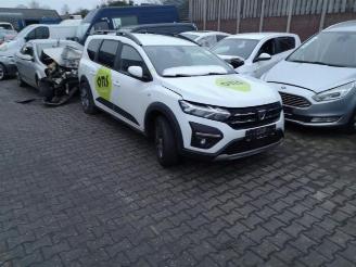 Autoverwertung Dacia Jogger Jogger, MPV, 2022 1.0 TCe 100 Bi-Fuel , ECO-G 12V 2022/6