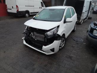Kia Picanto Picanto (JA), Hatchback, 2017 1.0 12V picture 2