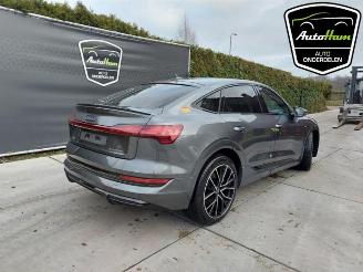 Audi E-tron E-tron Sportback (GEA), SUV, 2019 50 picture 9