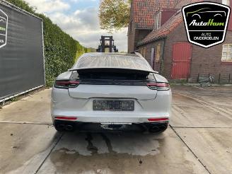 Porsche Panamera Panamera (971G), Liftback, 2016 / 2023 3.0 V6 24V picture 9