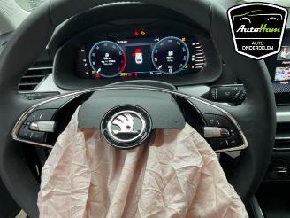 Skoda Scala Scala, Hatchback 5-drs, 2019 1.0 TSI 110 picture 25