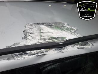 Skoda Fabia Fabia III Combi (NJ5), Combi 5-drs, 2014 / 2022 1.2 TSI 16V Greentech picture 9