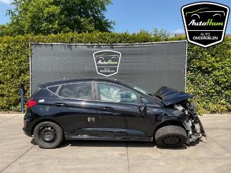 Autoverwertung Ford Fiesta Fiesta 7, Hatchback, 2017 1.0 EcoBoost 12V 100 2023/5
