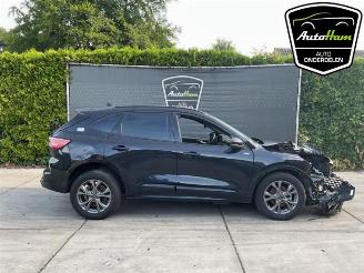 Autoverwertung Ford Kuga Kuga III (DFK), SUV, 2019 2.5 PHEV 16V 2023/6
