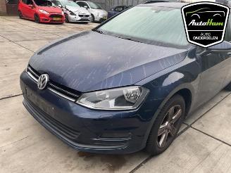 Volkswagen Golf Golf VII Variant (AUVV), Combi, 2013 / 2021 1.2 TSI BlueMotion 16V picture 5