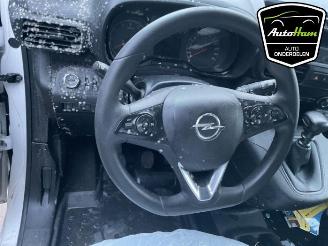 Opel Combo Combo Cargo, Van, 2018 1.5 CDTI 130 picture 21
