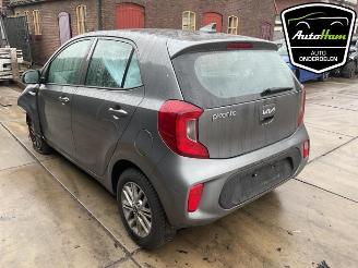 Kia Picanto Picanto (JA), Hatchback, 2017 1.0 DPI 12V picture 8