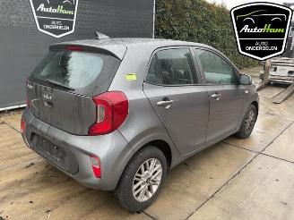 Kia Picanto Picanto (JA), Hatchback, 2017 1.0 DPI 12V picture 10