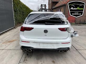 Volkswagen Golf Golf VIII (CD1), Hatchback, 2019 2.0 TSI R 16V 4Motion picture 11