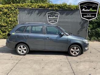 Sloopauto Skoda Fabia Fabia II Combi, Combi 5-drs, 2007 / 2014 1.2 TSI 2014/5
