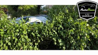 Auto da rottamare Fiat Panda Panda (169), Hatchback, 2003 / 2013 1.2, Classic 2012/4