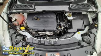 Ford Kuga Kuga II (DM2), SUV, 2012 1.5 EcoBoost 16V 150 picture 3