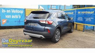Ford Kuga Kuga III (DFK), SUV, 2019 2.5 PHEV 16V picture 7