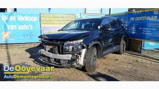 Hyundai Grand Santa Fe Santa Fe IV, SUV, 2018 1.6 T-GDI HEV picture 6