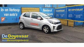 Uttjänta bilar auto Kia Picanto Picanto (JA), Hatchback, 2017 1.0 DPI 12V 2024/2