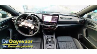 Cupra Formentor Formentor, SUV, 2020 2.0 TSI 16V 4Drive picture 2