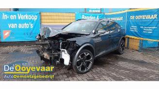 Cupra Formentor Formentor, SUV, 2020 2.0 TSI 16V 4Drive picture 6
