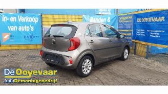 Kia Picanto Picanto (JA), Hatchback, 2017 1.0 12V picture 2