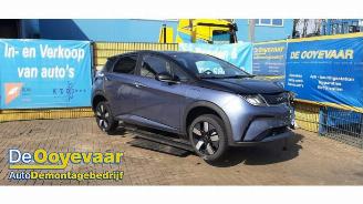 Sloopauto BYD Dolphin Dolphin, Hatchback 5-drs, 2021 60,4 kWh 2025/1