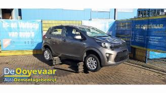 Sloopauto Kia Picanto Picanto (JA), Hatchback, 2017 1.0 12V 2019/10