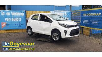 Sloopauto Kia Picanto Picanto (JA), Hatchback, 2017 1.0 DPI 12V 2023/12