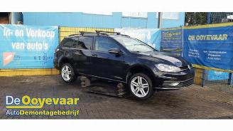  Volkswagen Golf Golf VII Variant (AUVV), Combi, 2013 / 2021 1.6 TDI BMT 16V 2018/1