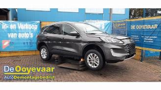Uttjänta bilar auto Ford Kuga Kuga III (DFK), SUV, 2019 2.5 PHEV 16V 2021/8