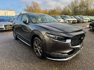 Mazda CX-30 2.0 e-SkyActiv-X M Hybrid Luxury picture 6