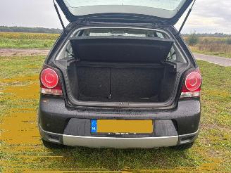 Volkswagen Polo Polo cross picture 6