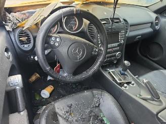Mercedes SLK SLK (R171), Cabrio, 2004 / 2011 1.8 200 K 16V picture 9