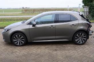 Toyota Corolla Corolla (E21/EA1/EH1), Hatchback 5-drs, 2018 1.8 16V Hybrid picture 6