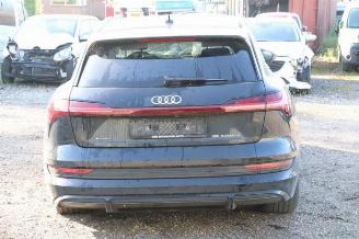 Audi E-tron e-tron (GEN), SUV, 2018 / 2023 55 quattro picture 4