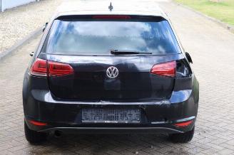Volkswagen Golf Golf VII (AUA), Hatchback, 2012 / 2021 1.6 TDI 16V picture 4
