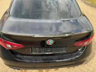 Alfa Romeo Giulia Giulia (952), Sedan, 2015 2.2d 136 16V picture 10