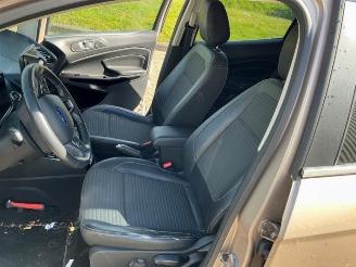 Ford EcoSport EcoSport (JK8), SUV, 2013 1.0 EcoBoost 12V 125 picture 11