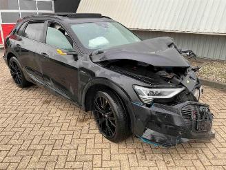 Purkuautot passenger cars Audi E-tron e-tron (GEN), SUV, 2018 / 2023 55 quattro 2019/11