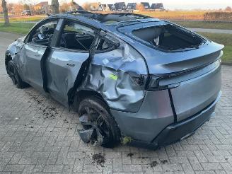Tesla Model Y Model Y, SUV, 2025 RWD 58 kWh, Long Range RWD 75 kWh picture 5