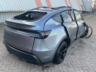 Tesla Model Y Model Y, SUV, 2025 RWD 58 kWh, Long Range RWD 75 kWh picture 3