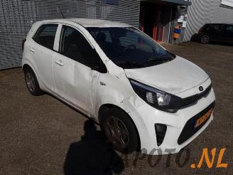 Kia Picanto Picanto (JA), Hatchback, 2017 1.0 12V picture 7