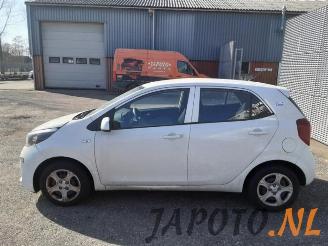 Kia Picanto Picanto (JA), Hatchback, 2017 1.0 12V picture 2