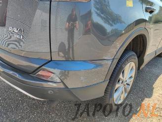 Toyota Rav-4 RAV4 (A4), Terreinwagen, 2012 / 2019 2.5 Hybrid 16V VVT-i 4x4 picture 11