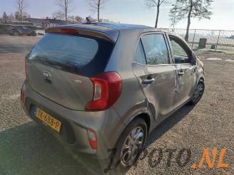 Kia Picanto Picanto (JA), Hatchback, 2017 1.0 12V picture 5