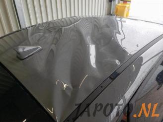 Hyundai I-30 i30 Fastback (PDEBA/PEDBC), Liftback, 2017 2.0 N Turbo 16V picture 25