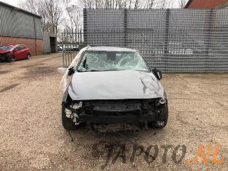 Hyundai I-30 i30 Fastback (PDEBA/PEDBC), Liftback, 2017 2.0 N Turbo 16V picture 8