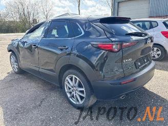 Mazda CX-30 CX-30 (DM), SUV, 2019 2.0 e-SkyActiv-G 150 16V picture 3
