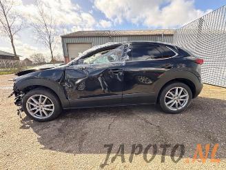 Mazda CX-30 CX-30 (DM), SUV, 2019 2.0 e-SkyActiv-G 150 16V picture 2