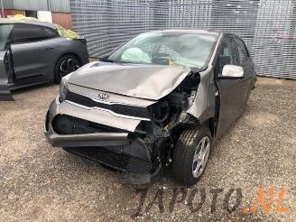 Sloopauto Kia Picanto Picanto (JA), Hatchback, 2017 1.0 12V 2018/12