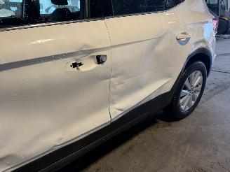 Seat Arona 1.0 TSI Xcellence Business Intense picture 11